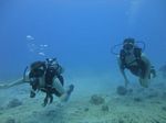 Hawaii Scuba divng 20