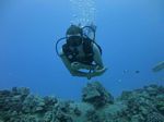 Hawaii Scuba divng 23