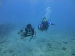 Hawaii Scuba divng 24