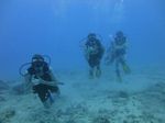 Hawaii Scuba divng 26