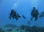 Hawaii Scuba divng 27