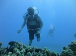 Hawaii Scuba divng 29