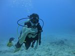 Hawaii Scuba divng 31