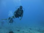 Hawaii Scuba divng 32