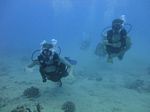 Hawaii Scuba divng 38