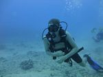 Hawaii Scuba divng 39