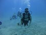 Hawaii Scuba divng 40