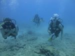 Hawaii Scuba divng 42