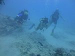 Hawaii Scuba divng 51