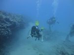 Hawaii Scuba divng 52