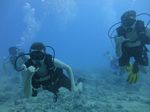 Hawaii Scuba divng 56