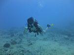 Hawaii Scuba divng 57