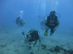 Hawaii Scuba divng 58