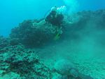 Hawaii Scuba divng 11