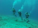 Hawaii Scuba divng 12