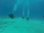 Hawaii Scuba divng 13