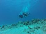 Hawaii Scuba divng 14