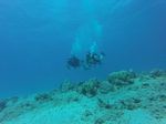 Hawaii Scuba divng 15