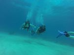 Hawaii Scuba divng 16