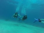 Hawaii Scuba divng 16