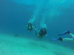 Hawaii Scuba divng 17