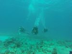 Hawaii Scuba divng 19