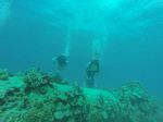 Hawaii Scuba divng 21