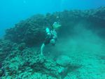 Hawaii Scuba divng 22