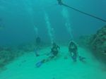 Hawaii Scuba divng 23