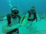 Hawaii Scuba divng 25