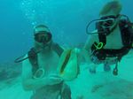 Hawaii Scuba divng 27