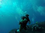Hawaii Scuba divng 29