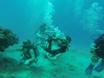 Hawaii Scuba divng 02