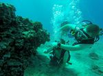 Hawaii Scuba divng 03