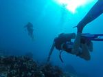 Hawaii Scuba divng 40