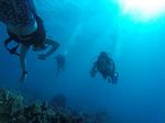 Hawaii Scuba divng 41