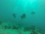 Hawaii Scuba divng 42