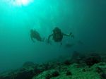 Hawaii Scuba divng 43