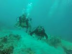 Hawaii Scuba divng 46