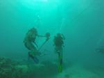 Hawaii Scuba divng 47