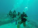 Hawaii Scuba divng 57