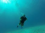 Hawaii Scuba divng 60