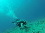 Hawaii Scuba divng 63