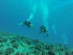 Hawaii Scuba divng 68