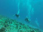 Hawaii Scuba divng 69