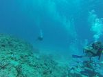Hawaii Scuba divng 70