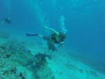 Hawaii Scuba divng 71