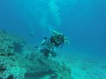 Hawaii Scuba divng 72