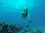 Hawaii Scuba divng 73