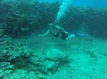 Hawaii Scuba divng 75